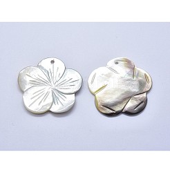 Undyed Shell Pendants&nbsp;SSHEL-P015-39