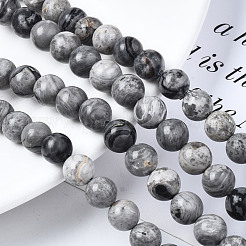Natural Maifanite/Maifan Stone Beads Strands&nbsp;G-Q462-8mm-21