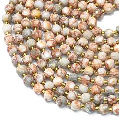 Natural Red Netstone Beads Strands&nbsp;G-K389-E17-01