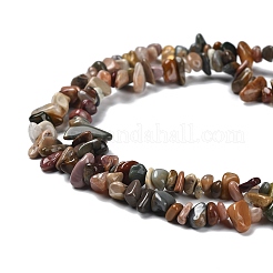 Natural Alashan Agate Beads Strands&nbsp;G-P497-03A-05