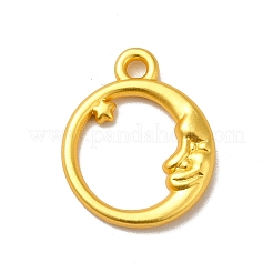 Rack Plating Alloy Pendants&nbsp;PALLOY-K255-01MG