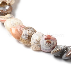 Natural Spiral Shell Beads Strands&nbsp;BSHE-G029-06