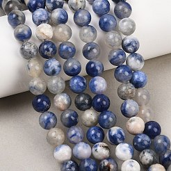 Natural Sodalite Beads Strands&nbsp;G-S279-10-8mm