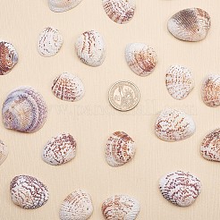 1箱のホタテ貝殻クラムシェル40-50pcsを作る工芸のための穴の付いたビーズ&nbsp;BSHE-YW0001-01