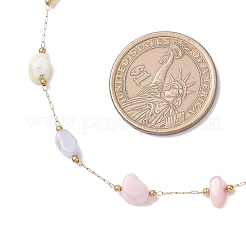 Dyed Nuggets Natural Shell & 304 Stainless Steel Link Chain Necklaces&nbsp;NJEW-JN05449