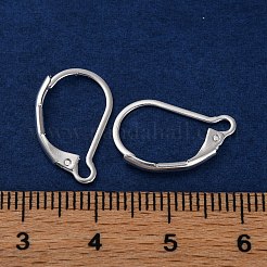 304 Stainless Steel Leverback Earring Findings&nbsp;STAS-K233-04S