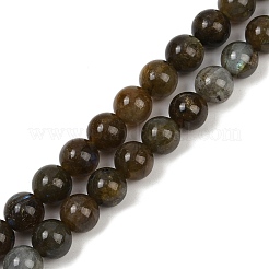 Natural Labradorite Beads Strands&nbsp;LS-G-I253-01-8mm