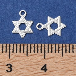 真鍮製チャーム  カドミウムフリー＆鉛フリー  星型チャーム  925銀メッキ  8.5x6x0.2mm  穴：1mm&nbsp;KK-F880-09S