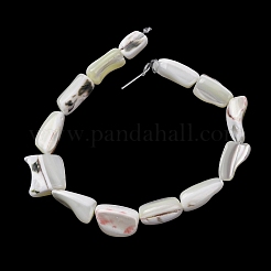 Natural Trochid Shell/Trochus Shell Beads Strands&nbsp;SH-CBA2978-20B