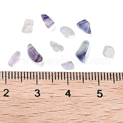 天然の蛍石ビーズ  穴なし/ドリルなし  チップ  3~10x2~5x1~3mm  約13880個/1000g&nbsp;G-L491-03