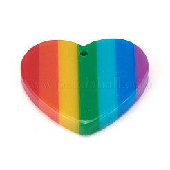 Plastic Stripe Pendants&nbsp;LS-KY-H003-01