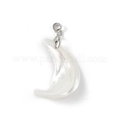 Natural Trochid Shell/Trochus Shell Pendants&nbsp;SSHEL-M021-13