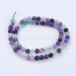 Natural Fluorite Beads Strands&nbsp;G-P318-05-6mm