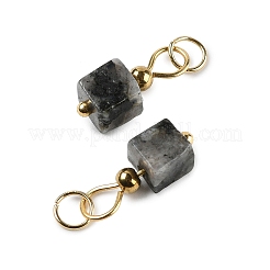 Natural Labradorite Pendants&nbsp;STAS-Z129-01G-03