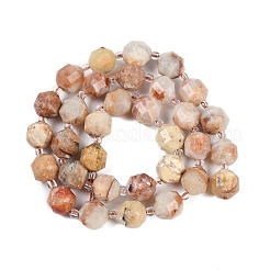 Natural Green Opal Beads Strands&nbsp;G-O201B-142G