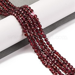 Natural Garnet Beads Strands&nbsp;X-G-F770-B02-01