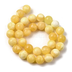 Natural Yellow Jade Beadd Strands&nbsp;G-A274-A01-12mm