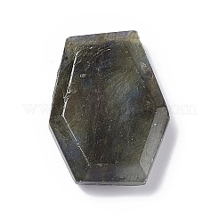 天然石ラブラドライトペンダント  ポリゴンのチャーム  21~26x16~19x6mm  穴：1mm&nbsp;G-C002-01F