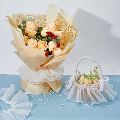 6M Organza Lace Trim Fabric&nbsp;SENE-HY0001-01A