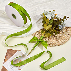 Polyester Ribbon&nbsp;OCOR-WH0112-023A