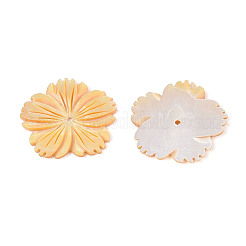 Natural Yellow Shell Carved Pendants&nbsp;BSHE-T014-12