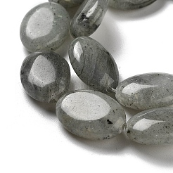 天然石ラブラドライトビーズ連売り  フラットオーバル  18~18.5x13~13.5x6~6.5mm  穴：1.2mm  約11個/連  7.76インチ（19.7cm）&nbsp;G-P528-M10-01