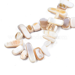Natural Trochid Shell/Trochus Shell Beads Strands&nbsp;SHEL-S258-082-A01