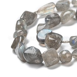 Natural Labradorite Beads Strands&nbsp;G-G018-24