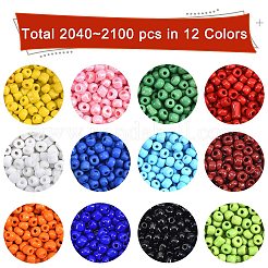 180g 12 Colors Glass Seed Beads&nbsp;SEED-SZ0001-010