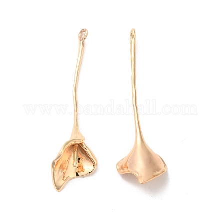 Brass Pendants&nbsp;KK-G468-02G-1