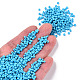Baking Paint Glass Seed Beads&nbsp;SEED-S001-K10-4