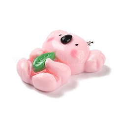 Cute Animal Opaque Resin Pendants&nbsp;FIND-B035-01