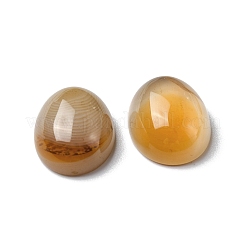 天然石赤瑪瑙カボション  オーバル  16x12x6mm&nbsp;G-A029-02-01