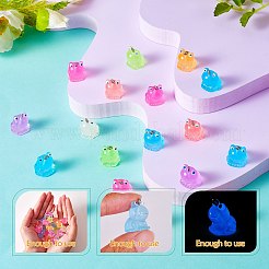 30 ピース 6 スタイル透明樹脂ペンダントカメ蓄光樹脂ペンダント diy 装飾アクセサリー  ミックスカラー  37x21x13mm  穴：2mm  5 ピース/スタイル&nbsp;JX868A