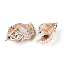 Electroplate Natural Sea Shell Big Pendants&nbsp;SSHEL-T018-01