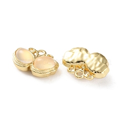 Rack Plating Alloy Resin Pendants&nbsp;FIND-M038-11G