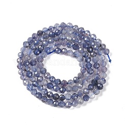 Natural Iolite Beads Strands&nbsp;G-N342-32