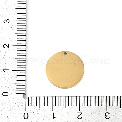 304 Stainless Steel Charms&nbsp;STAS-I325-133G
