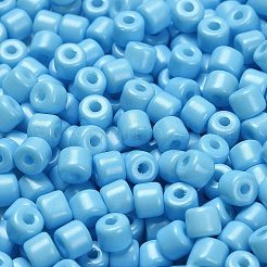 Baking Paint Pearlized Glass Seed Beads&nbsp;SEED-C001-04A-08