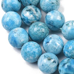 Natural Gemstone Hemimorphite Round Beads Strands&nbsp;G-L145-14mm-01