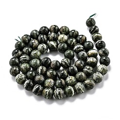 Natural Green Zebra Jasper Beads Strands&nbsp;G-O199-05A