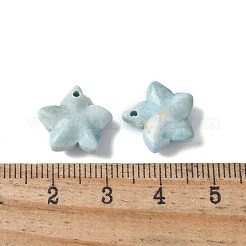 Natural Rainbow Alashan Agate Charms&nbsp;G-G194-02A