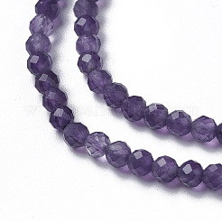 Natural Amethyst Beads Strands&nbsp;G-F596-13-2mm