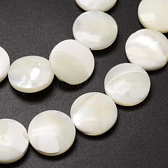 Natural Trochid Shell/Trochus Shell Beads Strands&nbsp;SSHEL-K016-02