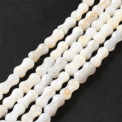 天然淡水シェルビーズ連売り  ピーナッツ  ホワイト  8x3.5mm  穴：0.7mm  約50個/連  15.16~15.28インチ（38.5~38.8cm）&nbsp;SHEL-G014-03