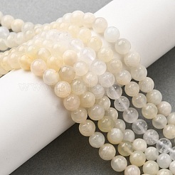 Natural White Moonstone Beads Strands&nbsp;G-P342-02A-6mm-AB-01