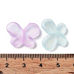 Transparent Acrylic Beads&nbsp;OACR-Z013-14