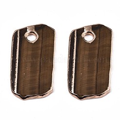 天然石タイガーアイペンダント  エッジメッキ付き  混合形  黄金メッキ  31~61x21~38x3~4.5mm  穴：6mm&nbsp;G-N0326-61G