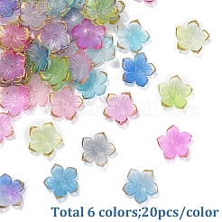 透明アクリルビーズキャップ120色6個  黄金の縁を持つ  花  ミックスカラー  23.5x1.5mm  穴：1.5mm  20個/カラー&nbsp;TACR-YW0002-44