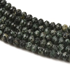 Natural Seraphinite Beads Strands&nbsp;G-K376-E06-4x6mm